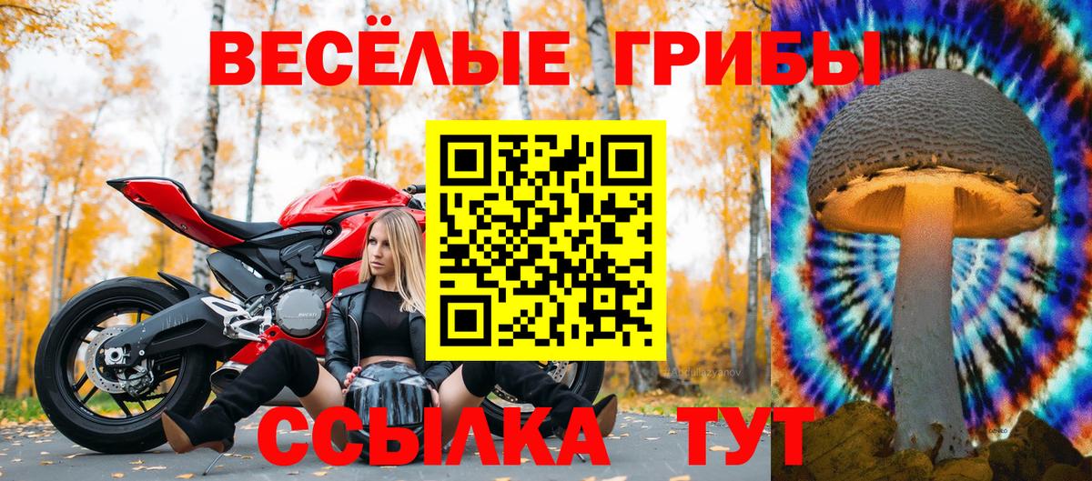 продажа наркотиков  Вход с VPN  Волжский  Псилоцибиновые грибы Cubensis 